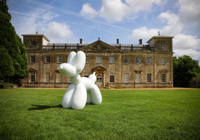 Balloon dog in front of a house in Swindon