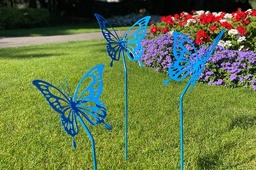 Forever butterflies in a garden