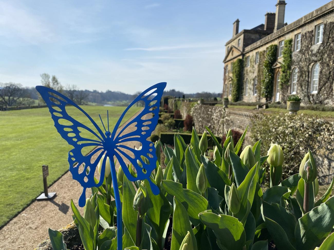 Bowood House with Forever Butterfly 