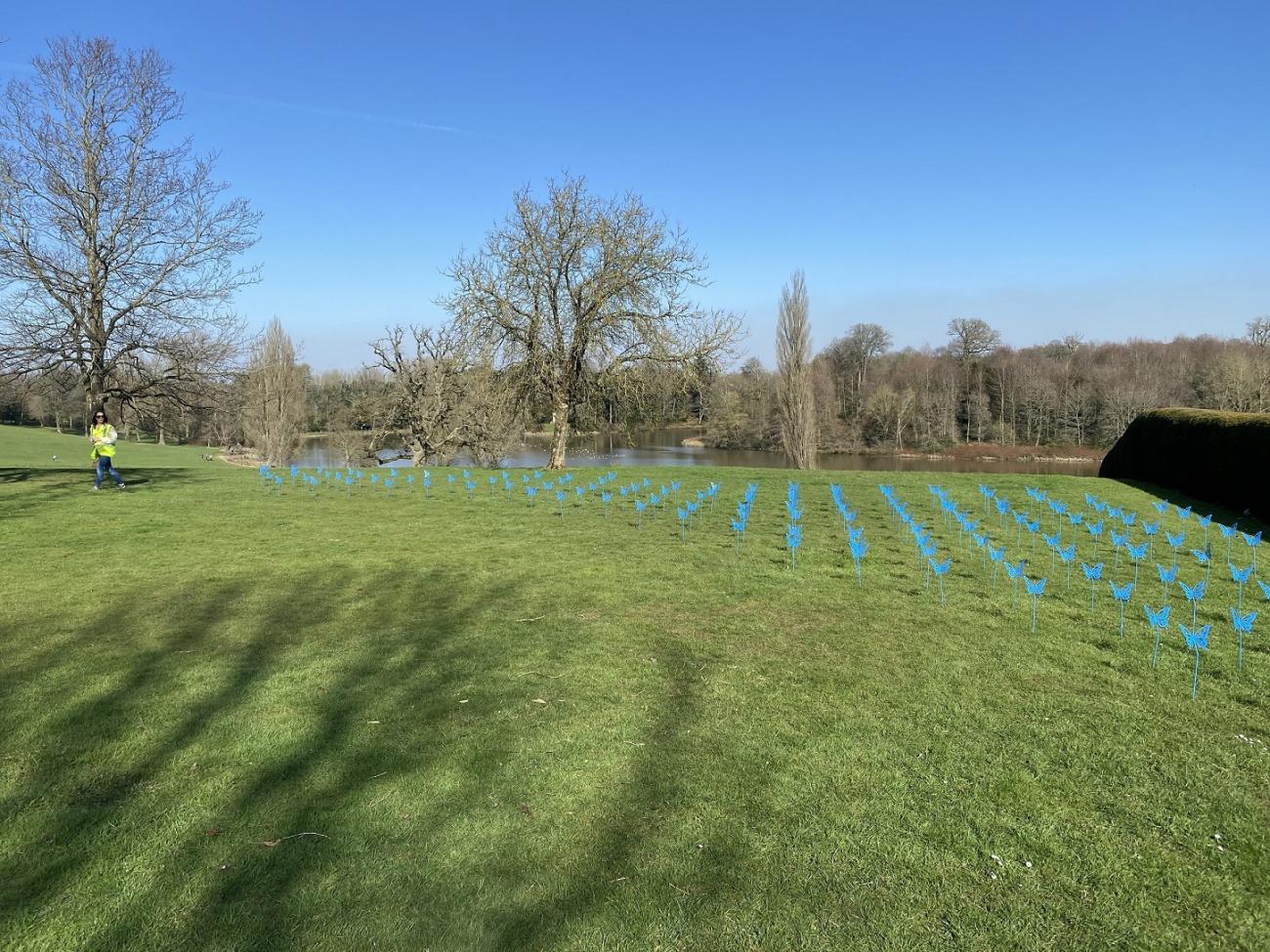 Display of Forever Butterflies at Bowood House