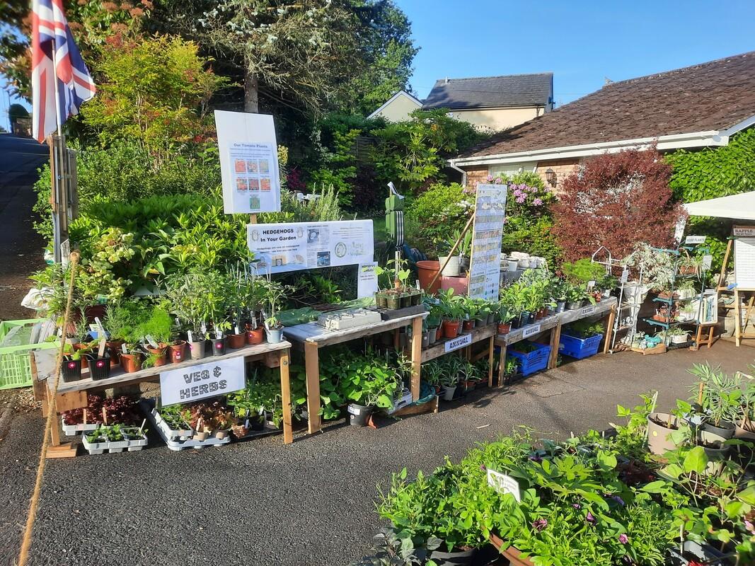 Plant Sale